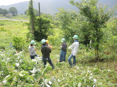 熱中症予防のための水分補給をしている様子