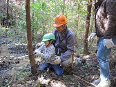 日本森林ボランティア協会協力のもと子供が間伐作業をしている様子