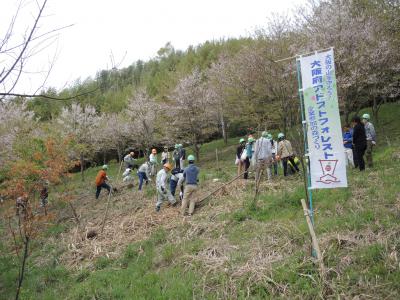 植穴を掘る作業の様子