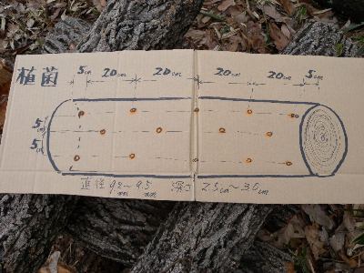 手作りの解説図の画像