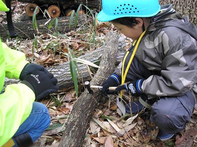 打ち込み作業をする小学生の様子