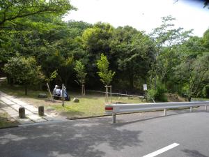 作業後の雑木林の様子