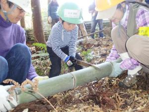 子どもが竹を玉切りしている様子