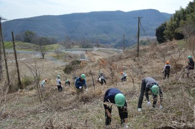 ツルきりや下草刈りの作業状況写真