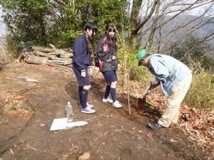 画像です。植え付けの様子