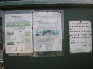 花屏風の広報
