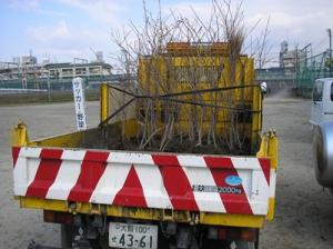 トラックに積まれた苗木