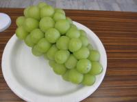 syainmasukatto
