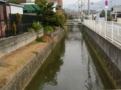 玉串川（整備前）