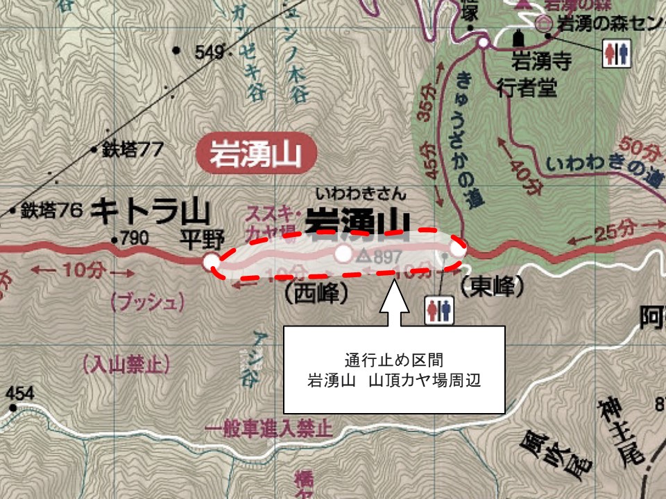 yamayaki