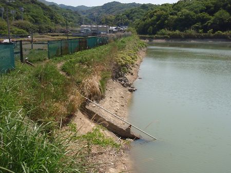 井関池改修前1