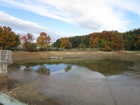 桜坊池改修前1
