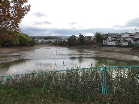 桜坊池改修前2