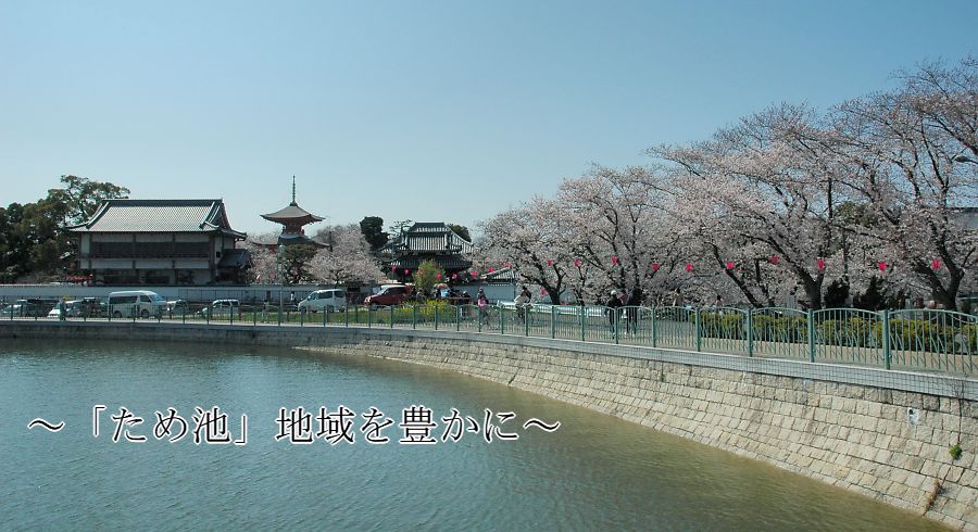 久米田池
