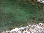 芥川の釣り場の水面