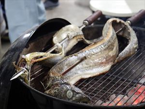 タチウオのスキュア