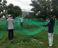 防鳥ネットはり