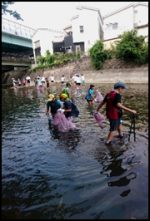 箕面川清掃