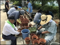 菊とっ草花のサークル