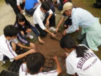 花いっぱいの学校づくりのようす