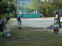 校庭・芝生整備作業のようす