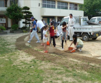 校庭・芝生整備作業のようす