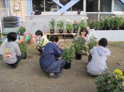 緑化推進活動の様子