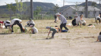 運動場の草ぬきのようす