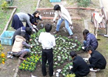 たんぽぽの会の活動のようす