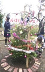 クリスマスの飾りつけのようす