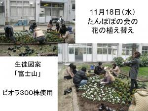 花壇の植え替え