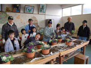 葉ボタンの寄せ植えの様子