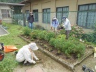 花植え活動