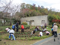 花の植え替え活動