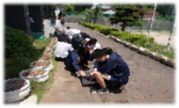 花植え活動1