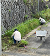 花植え活動2