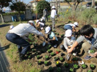 花の植え替え活動
