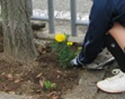 花いっぱい活動