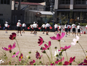 植栽活動