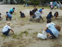 草刈・草抜き大作戦