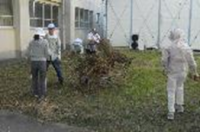 画像です。花と緑の環境整備