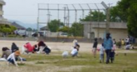 花と緑のサポート3