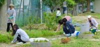 草刈りをする地域ボランティアと中学生