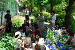 苗の植え付けの様子
