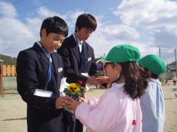 画像です。花いっぱいの学校づくり活動の様子2