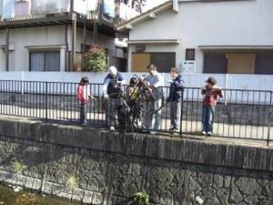 川から投げ込まれた自転車を引き上げる