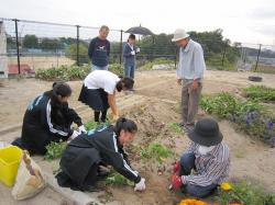 園芸ボランティアによる活動の様子