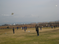 凧あげ大会のようす