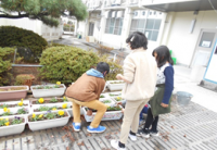 美化活動写真
