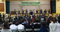 ふれあいフェスタ